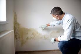 Best Air Quality Testing for Mold Spores  in Jackson, GA